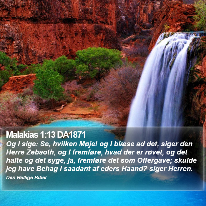 Malakias 1:13 DA1871 Bible Study