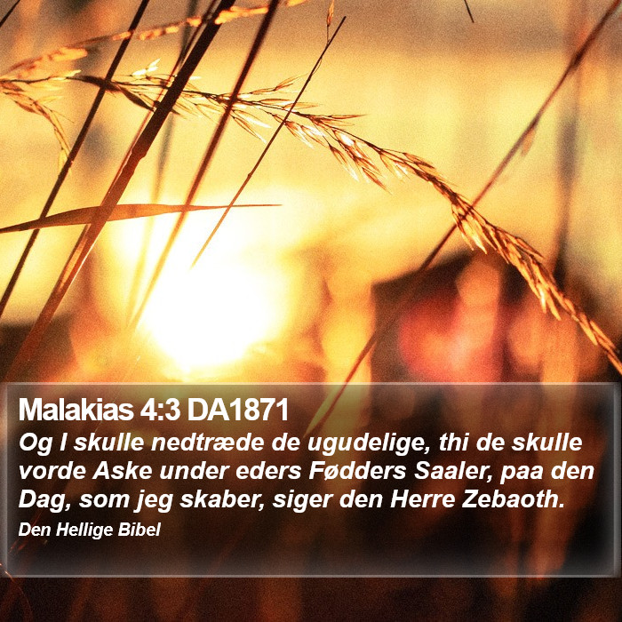 Malakias 4:3 DA1871 Bible Study