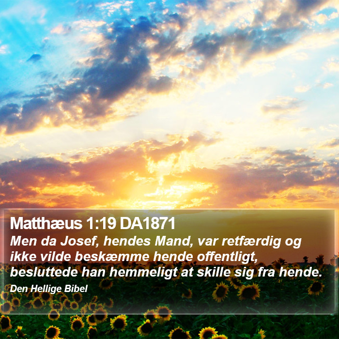 Matthæus 1:19 DA1871 Bible Study