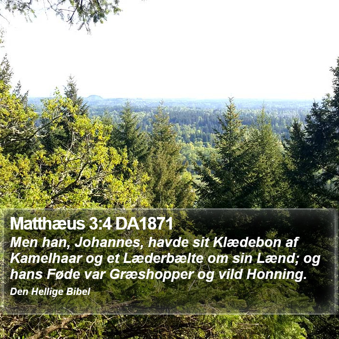 Matthæus 3:4 DA1871 Bible Study