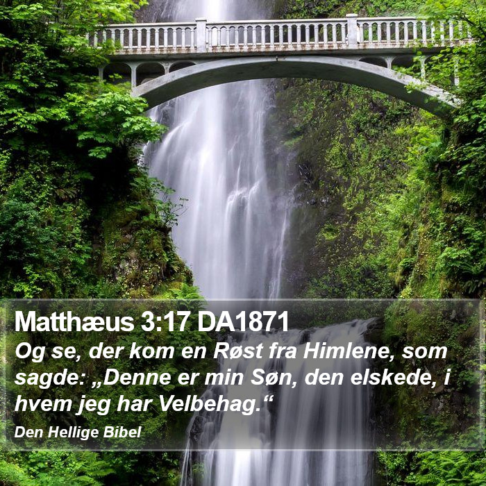 Matthæus 3:17 DA1871 Bible Study