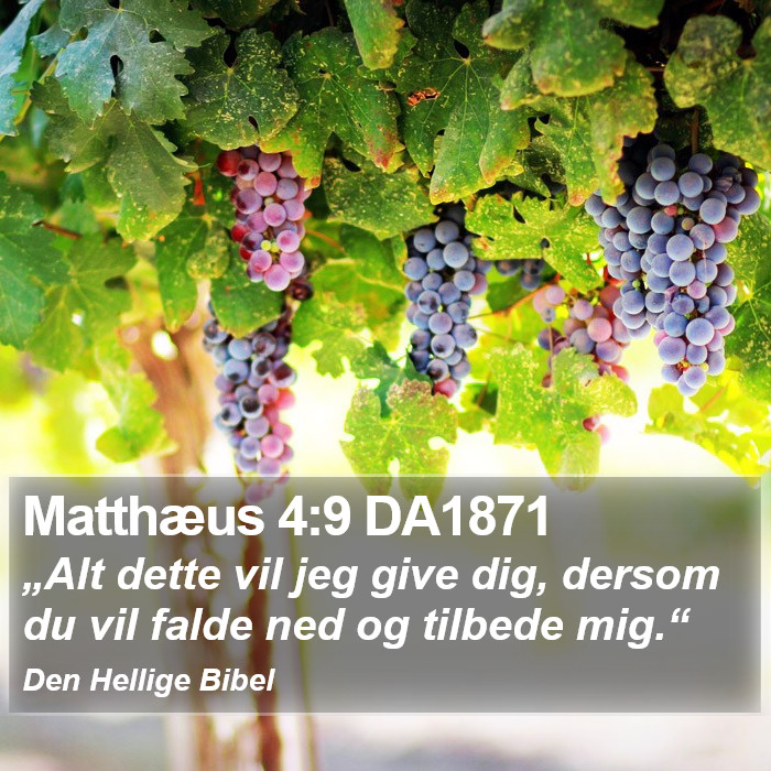 Matthæus 4:9 DA1871 Bible Study