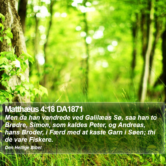 Matthæus 4:18 DA1871 Bible Study
