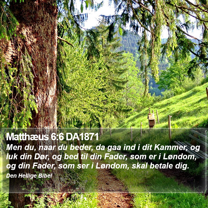 Matthæus 6:6 DA1871 Bible Study