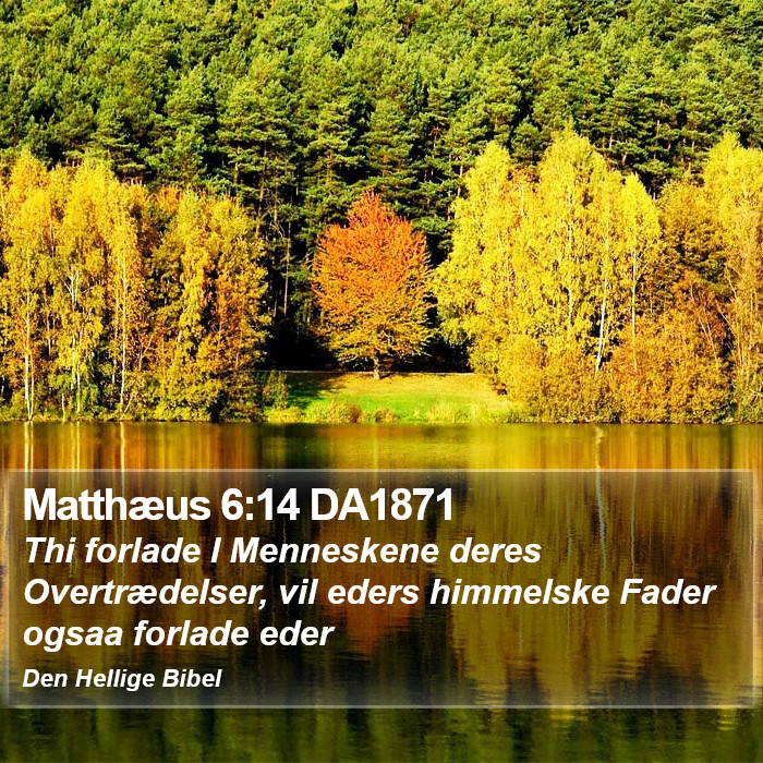 Matthæus 6:14 DA1871 Bible Study