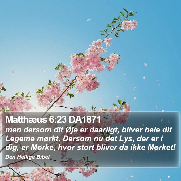 Matthæus 6:23 DA1871 Bible Study