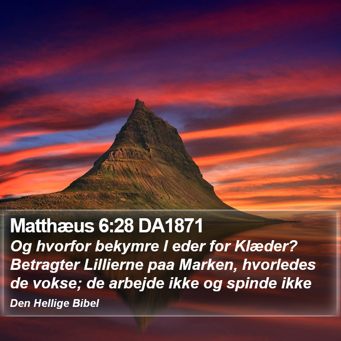 Matthæus 6:28 DA1871 Bible Study