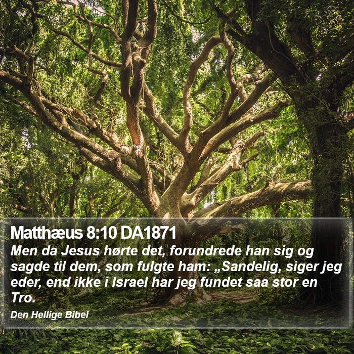 Matthæus 8:10 DA1871 Bible Study