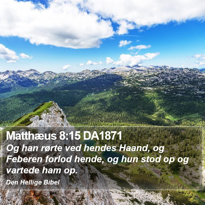 Matthæus 8:15 DA1871 Bible Study