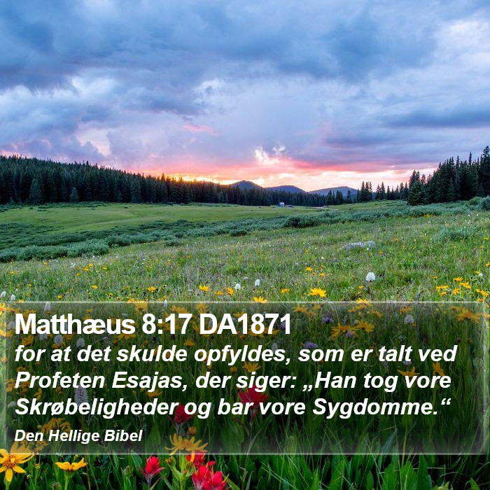 Matthæus 8:17 DA1871 Bible Study