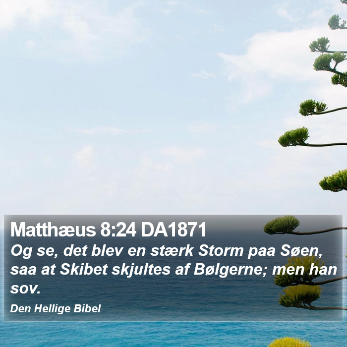 Matthæus 8:24 DA1871 Bible Study