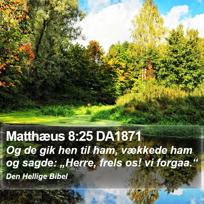 Matthæus 8:25 DA1871 Bible Study