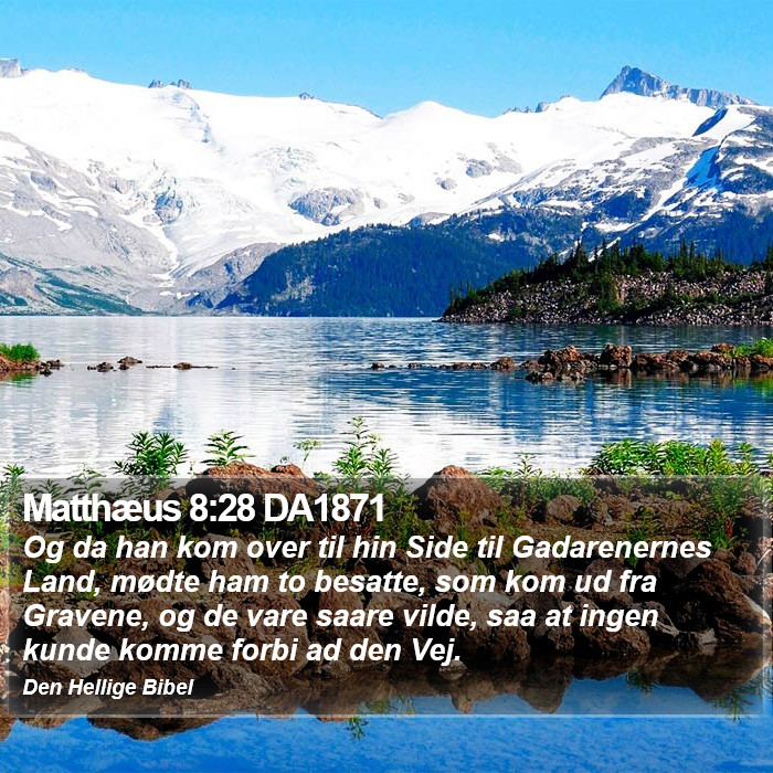 Matthæus 8:28 DA1871 Bible Study