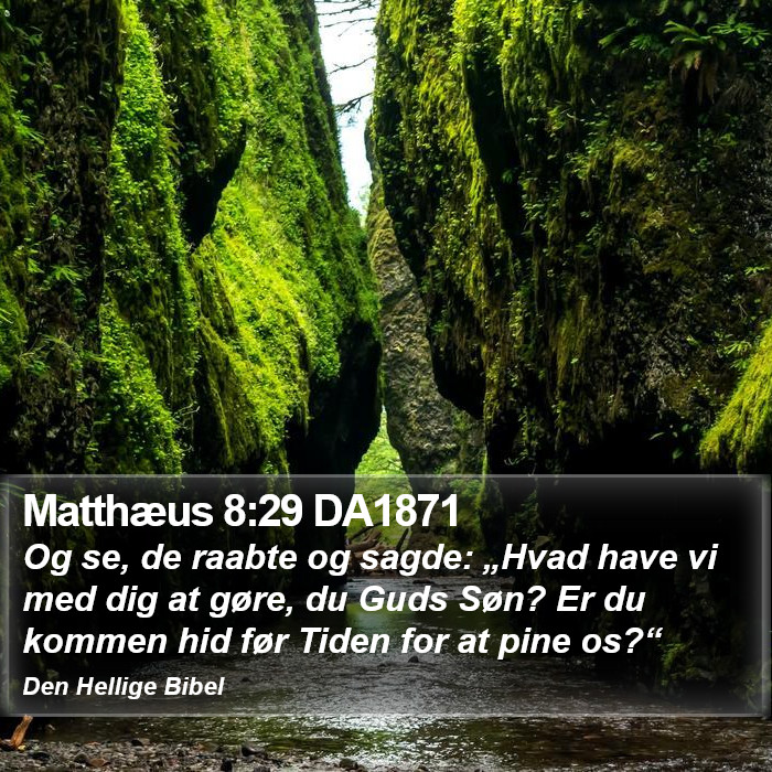 Matthæus 8:29 DA1871 Bible Study