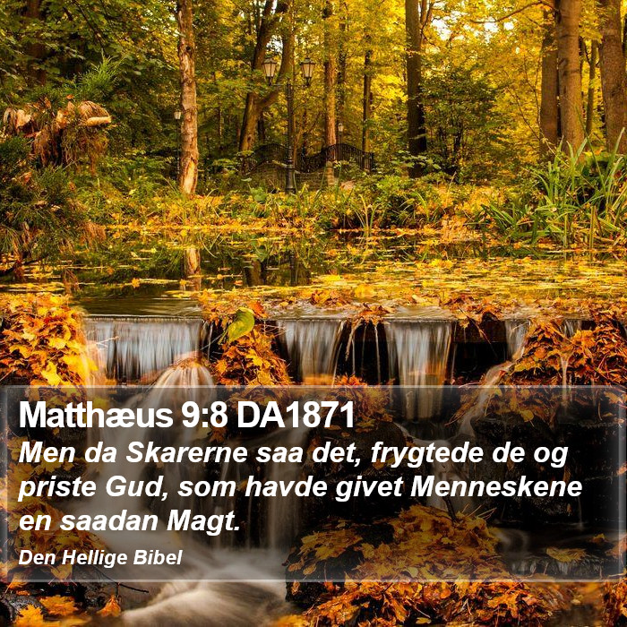 Matthæus 9:8 DA1871 Bible Study