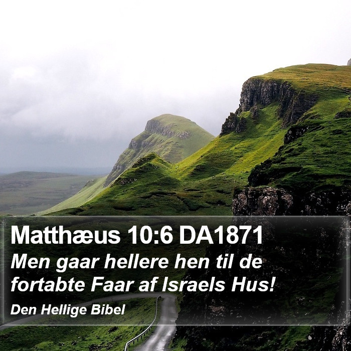 Matthæus 10:6 DA1871 Bible Study