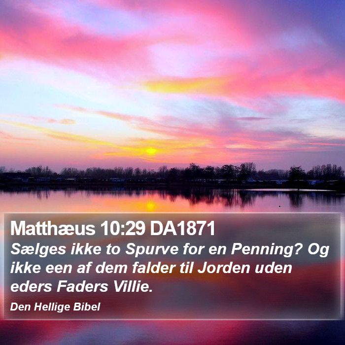 Matthæus 10:29 DA1871 Bible Study