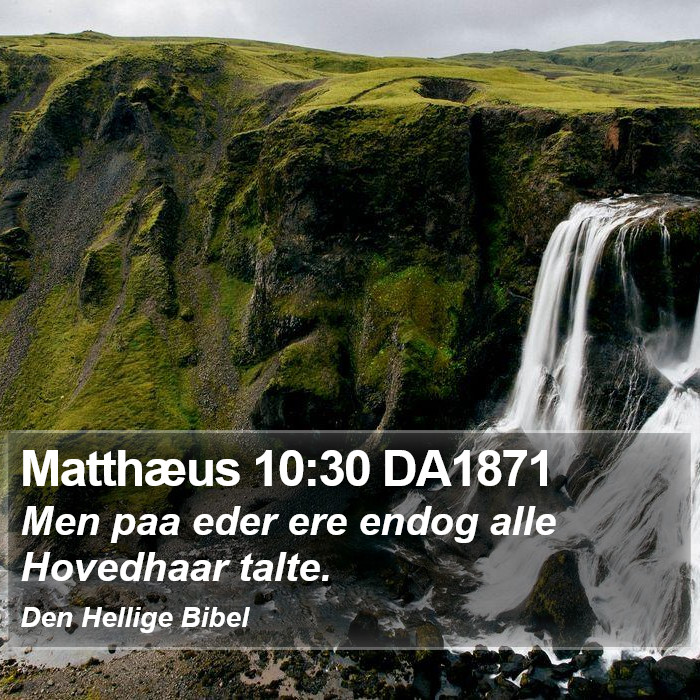 Matthæus 10:30 DA1871 Bible Study