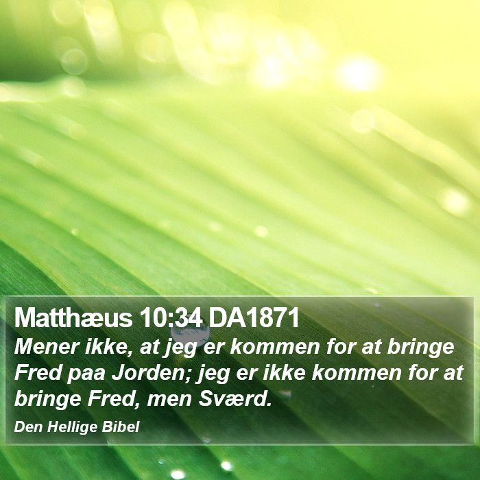 Matthæus 10:34 DA1871 Bible Study