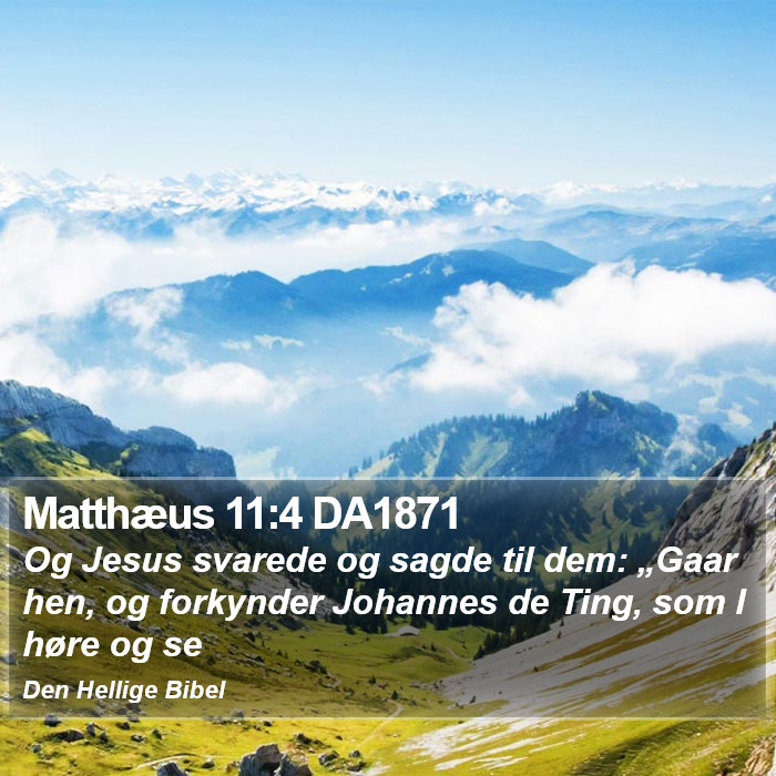 Matthæus 11:4 DA1871 Bible Study