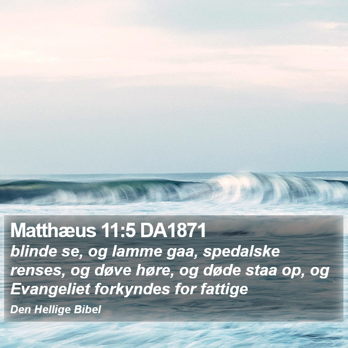 Matthæus 11:5 DA1871 Bible Study