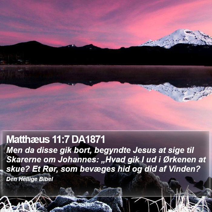 Matthæus 11:7 DA1871 Bible Study