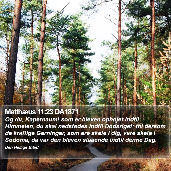 Matthæus 11:23 DA1871 Bible Study