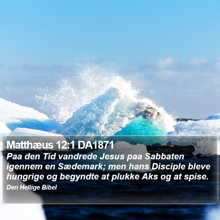 Matthæus 12:1 DA1871 Bible Study