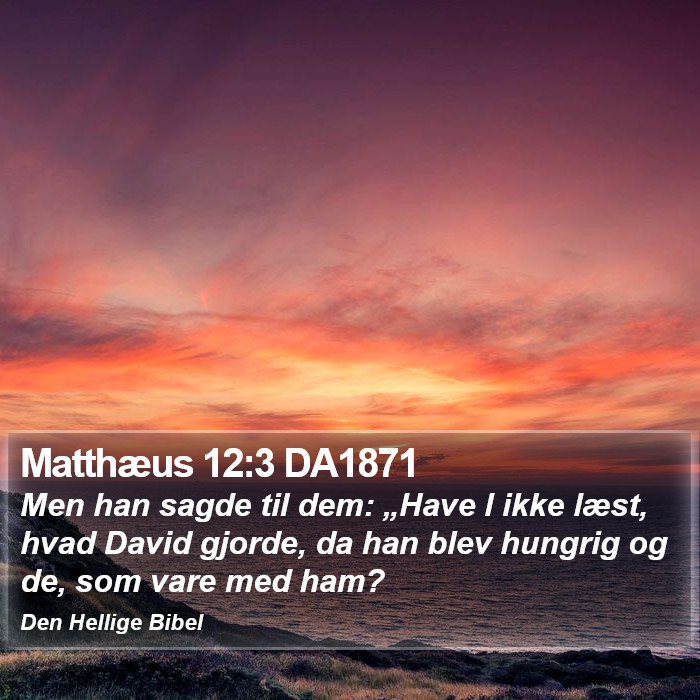 Matthæus 12:3 DA1871 Bible Study