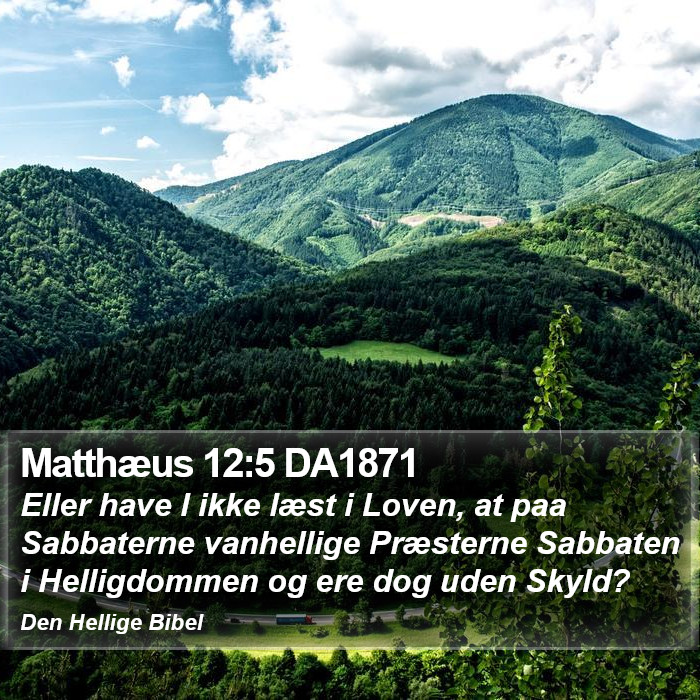 Matthæus 12:5 DA1871 Bible Study