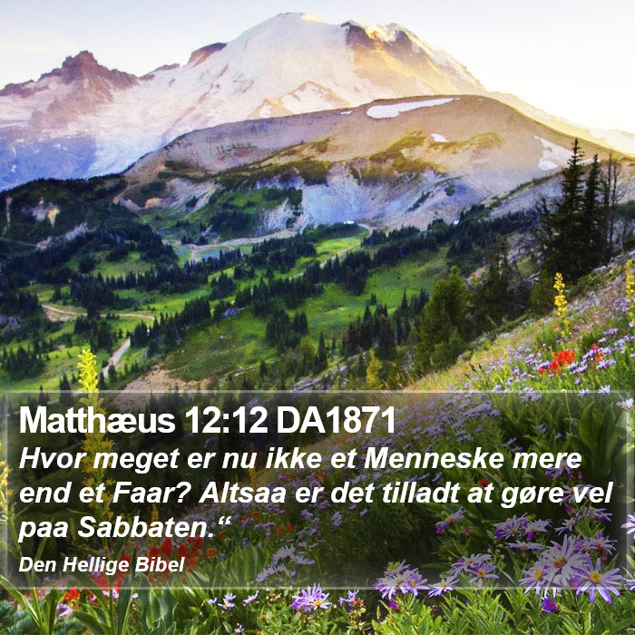 Matthæus 12:12 DA1871 Bible Study