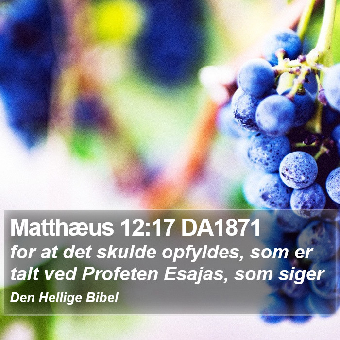 Matthæus 12:17 DA1871 Bible Study