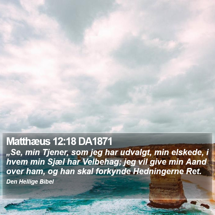 Matthæus 12:18 DA1871 Bible Study