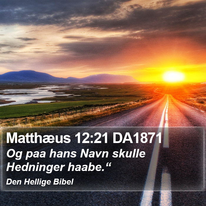 Matthæus 12:21 DA1871 Bible Study