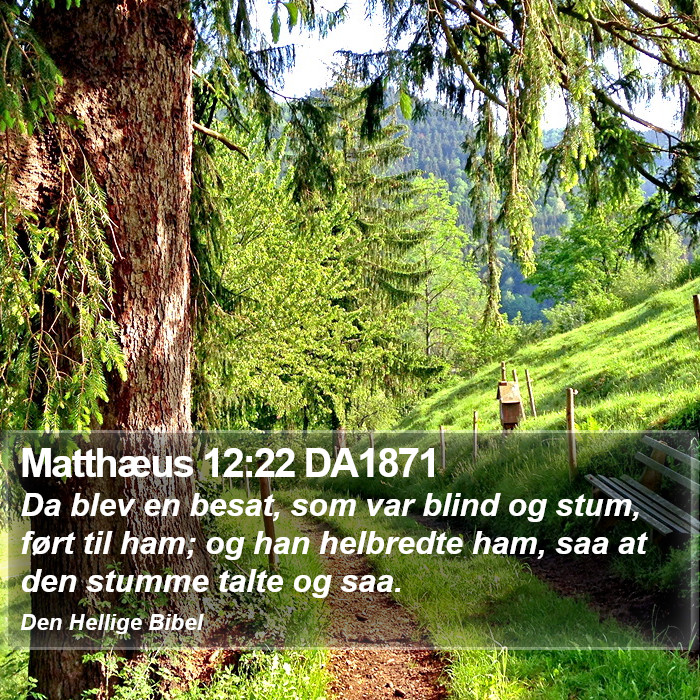 Matthæus 12:22 DA1871 Bible Study