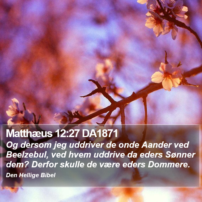 Matthæus 12:27 DA1871 Bible Study