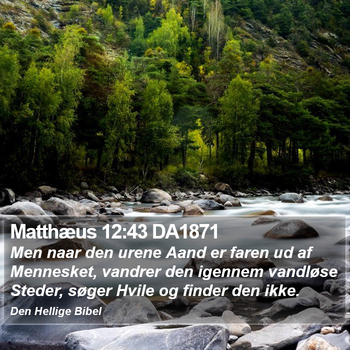 Matthæus 12:43 DA1871 Bible Study