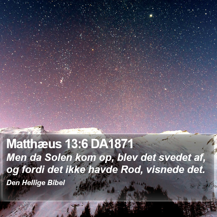 Matthæus 13:6 DA1871 Bible Study