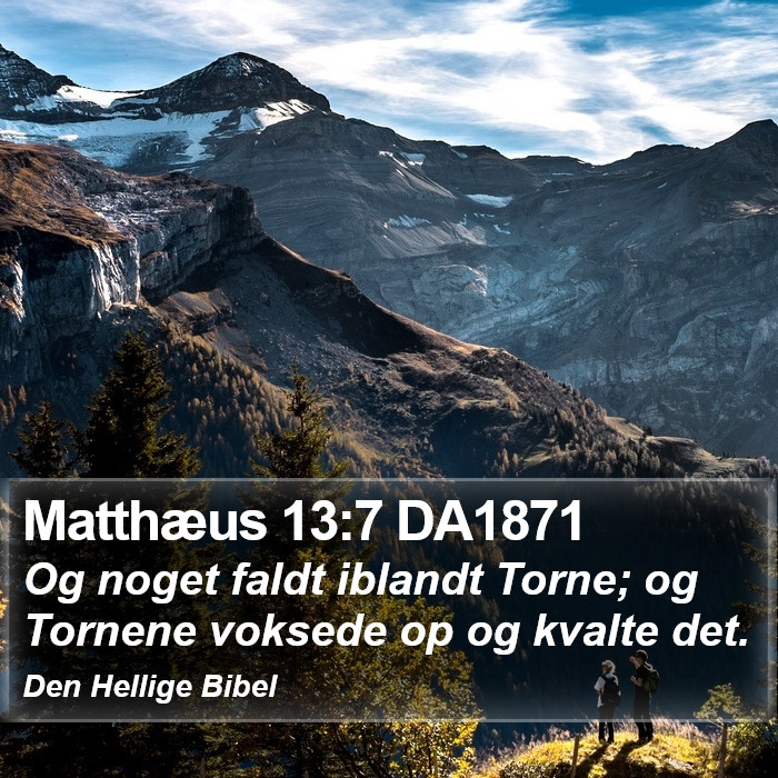 Matthæus 13:7 DA1871 Bible Study