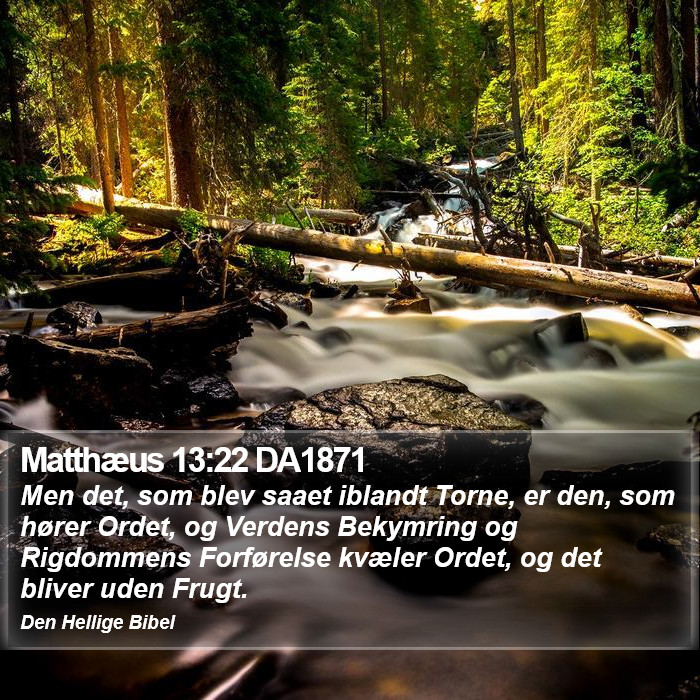 Matthæus 13:22 DA1871 Bible Study