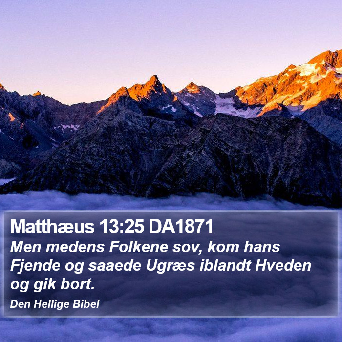 Matthæus 13:25 DA1871 Bible Study