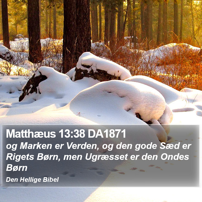 Matthæus 13:38 DA1871 Bible Study