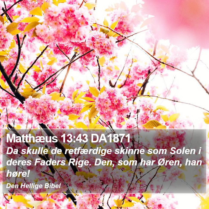 Matthæus 13:43 DA1871 Bible Study