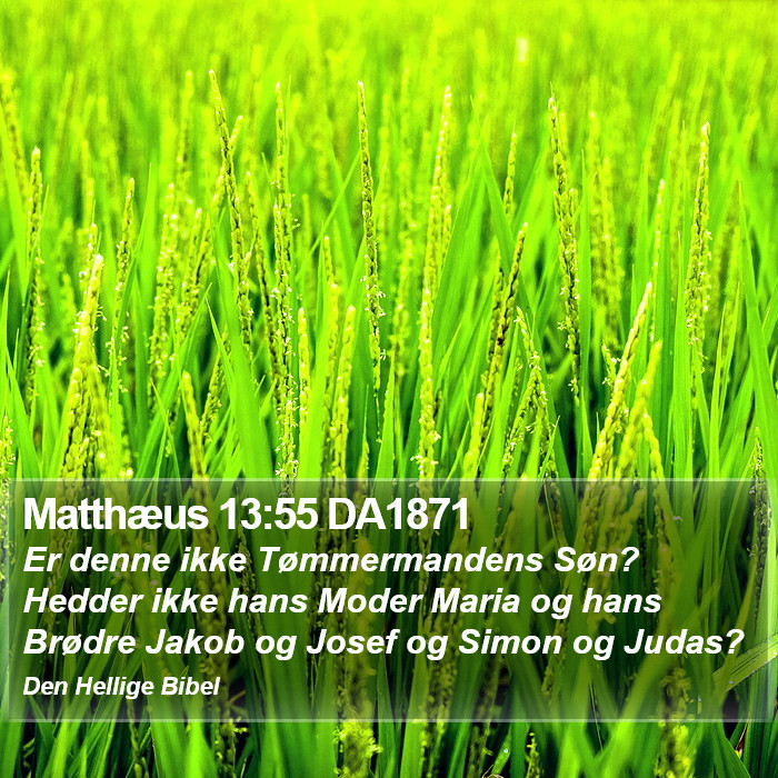 Matthæus 13:55 DA1871 Bible Study