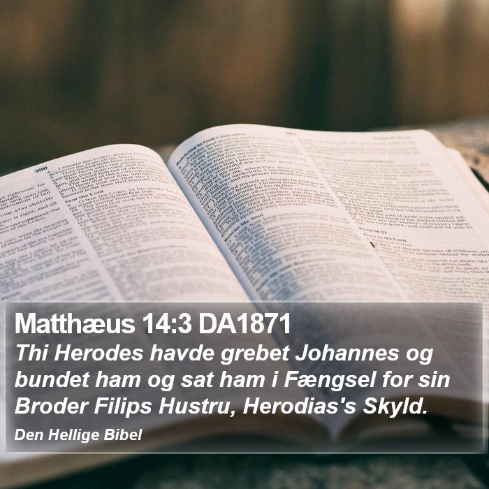 Matthæus 14:3 DA1871 Bible Study
