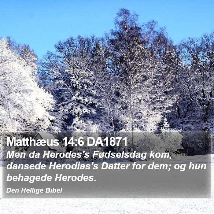 Matthæus 14:6 DA1871 Bible Study