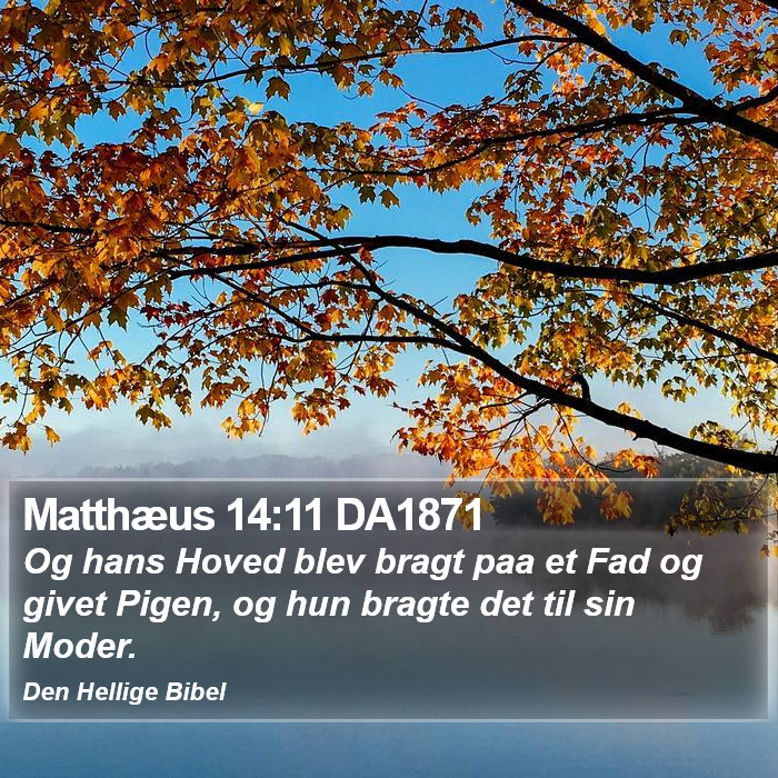 Matthæus 14:11 DA1871 Bible Study