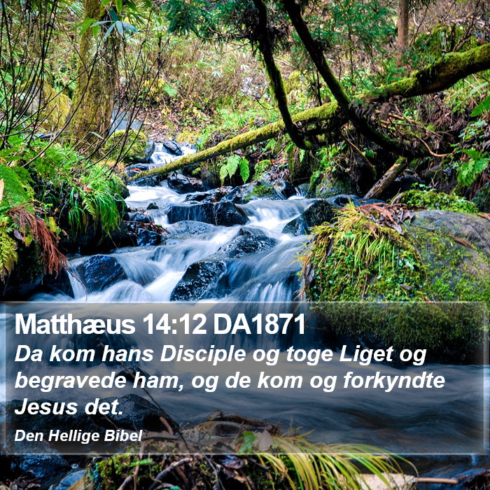 Matthæus 14:12 DA1871 Bible Study