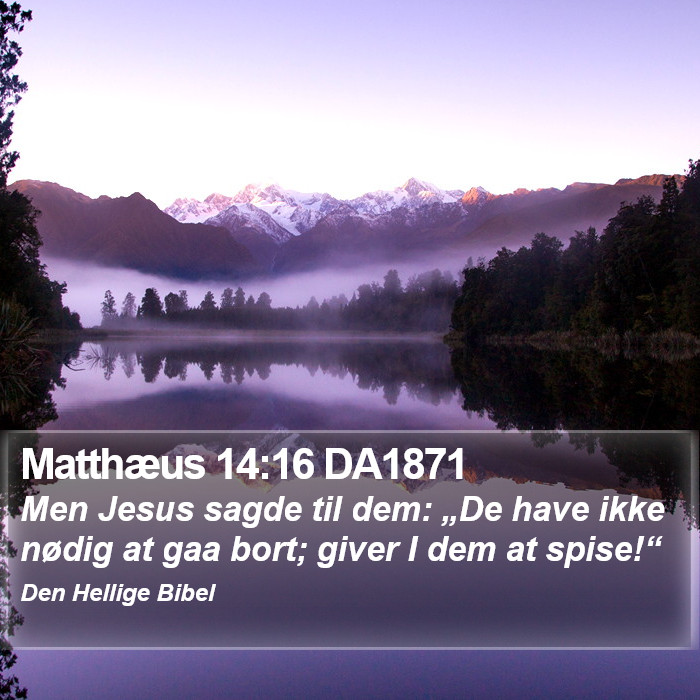 Matthæus 14:16 DA1871 Bible Study