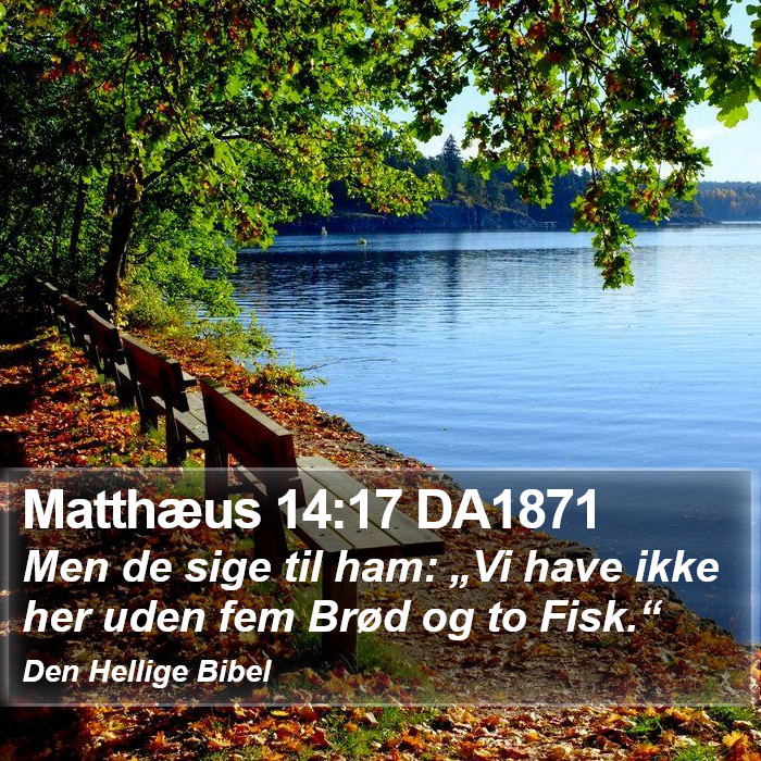 Matthæus 14:17 DA1871 Bible Study